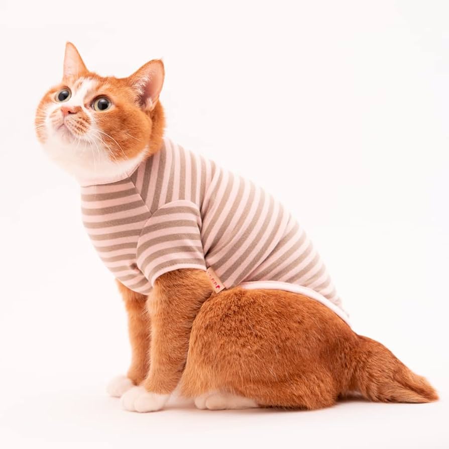 ※ねこねこ※　　　　　　　　　　　　　　【超激レア 美品】ポーター 吉田カバン（ポーター）正規取扱店 COOLCAT